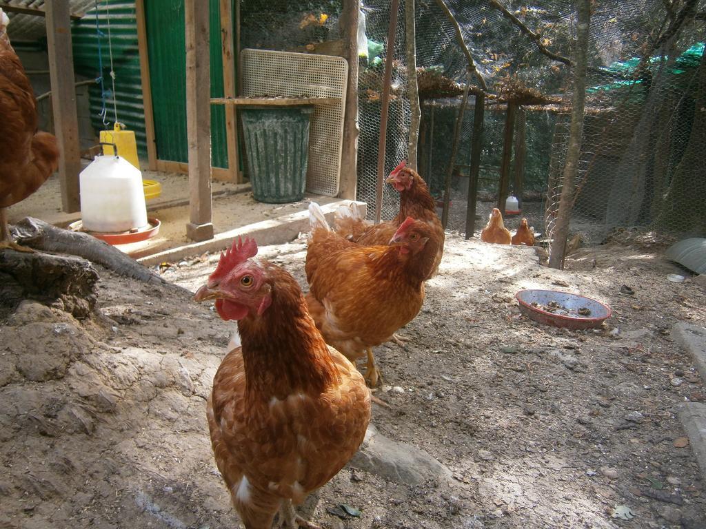 Bed And Breakfast Al Posto Bello Περούτζια Δωμάτιο φωτογραφία