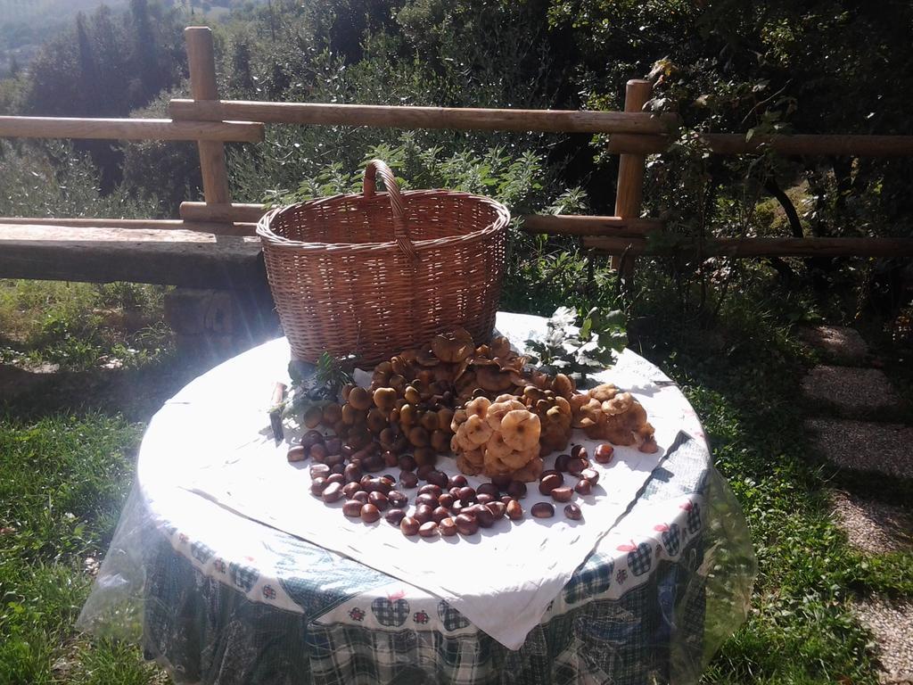 Bed And Breakfast Al Posto Bello Περούτζια Εξωτερικό φωτογραφία